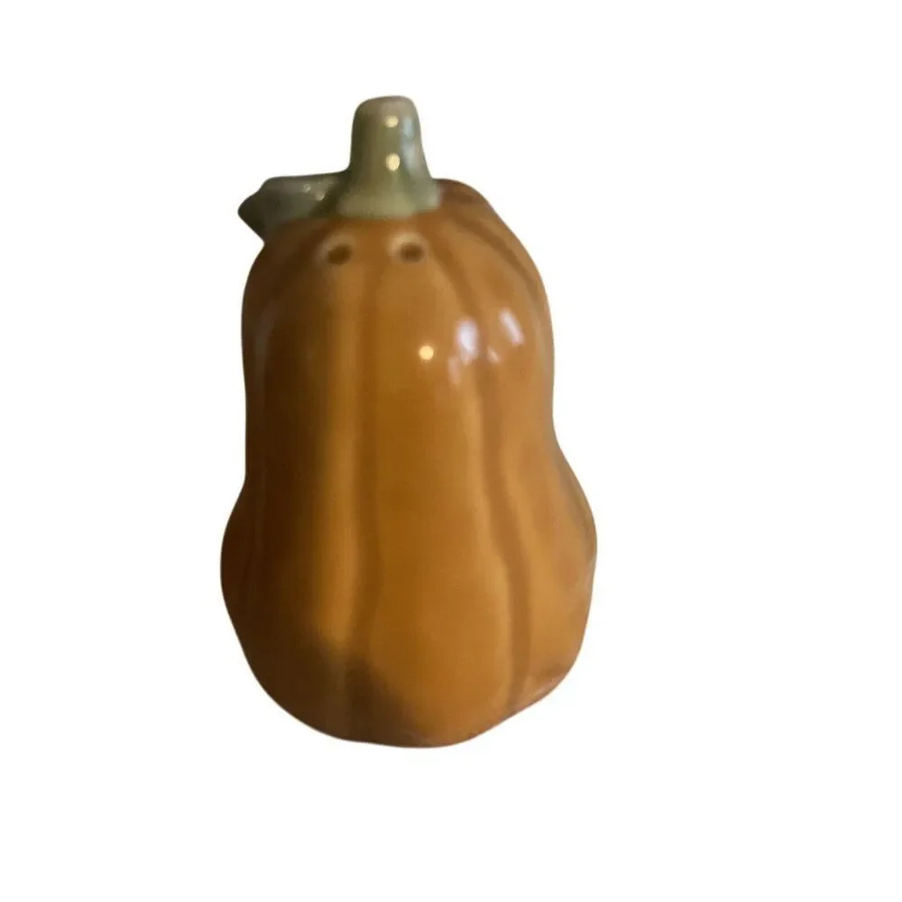 Celebrate Fall Together Pumpkin Gourd Salt‎ & Pepper Shaker Set Autumn Stoneware